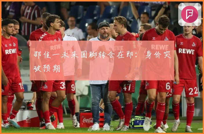 邵佳一未来国脚转会在即：身价突破预期