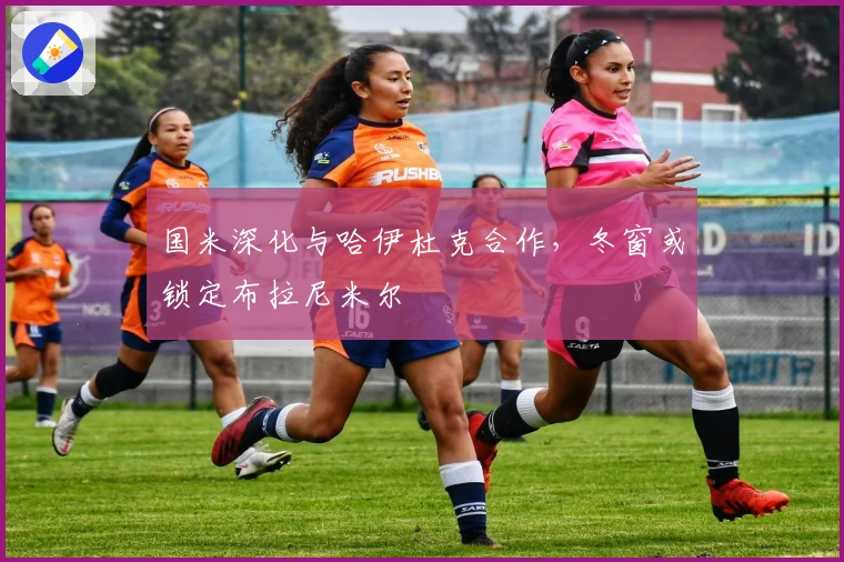 国米深化与哈伊杜克合作，冬窗或锁定布拉尼米尔